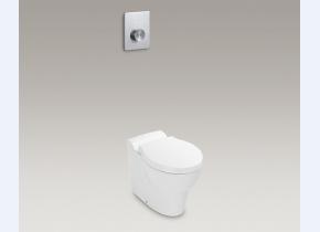 OVE® 欧芙落地式座便器（柏明手动冲水阀）K-22962T-GS2-0